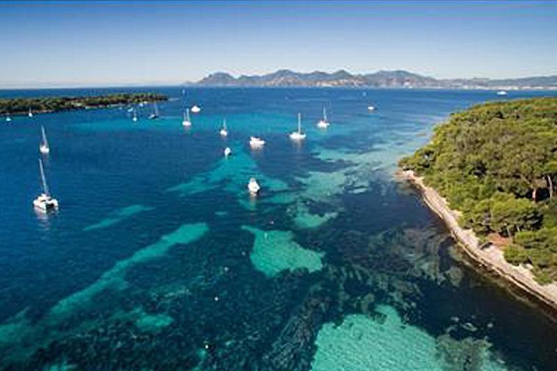 Beautiful And Cozy Apartment In The Heart Of Cannes Exteriör bild